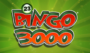 Bingo 3000 Game